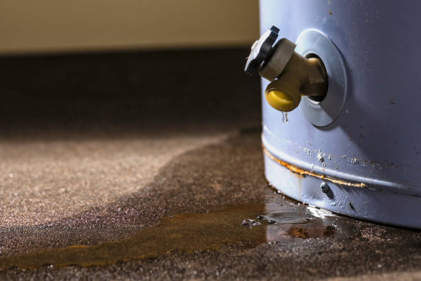 Best Water damage restoration near me  in Northern Cambria, PA