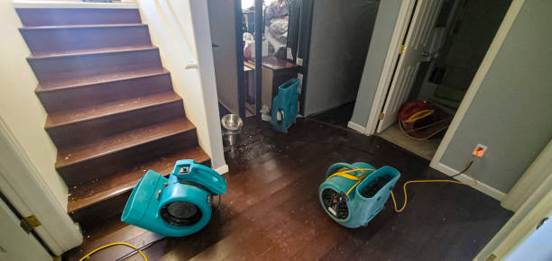 Best Mold removal after water damage  in Northern Cambria, PA