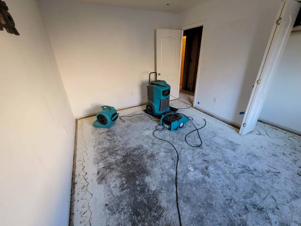 Best Residential water damage restoration  in Northern Cambria, PA
