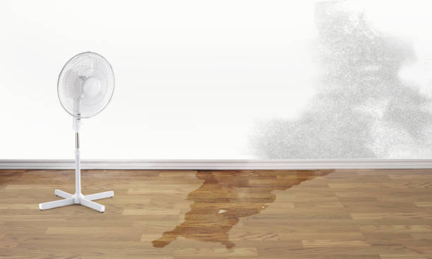 Best Carpet water damage restoration  in Northern Cambria, PA