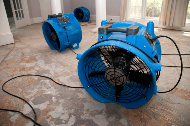 Professional Water damage restoration in Northern Cambria, PA