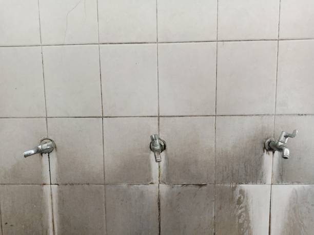 Best Ceiling water damage repair  in Northern Cambria, PA