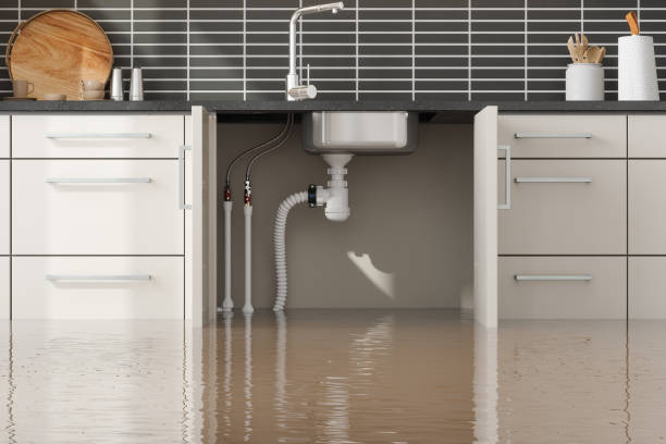 Best Flood damage cleanup  in Northern Cambria, PA