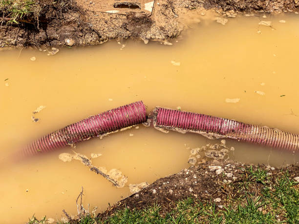 Best Basement water damage restoration  in Northern Cambria, PA