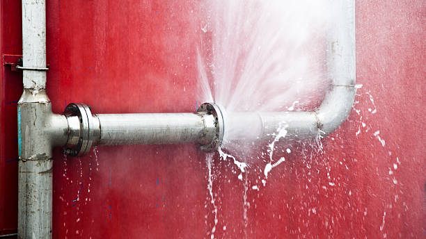 Best Professional water damage repair  in Northern Cambria, PA